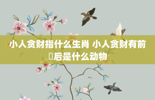 小人贪财指什么生肖 小人贪财有前冇后是什么动物