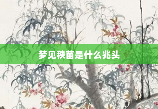 梦见秧苗是什么兆头