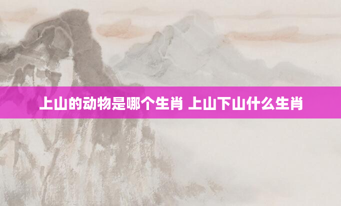 上山的动物是哪个生肖 上山下山什么生肖