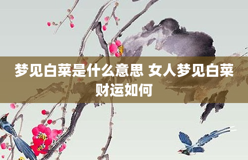 梦见白菜是什么意思 女人梦见白菜财运如何