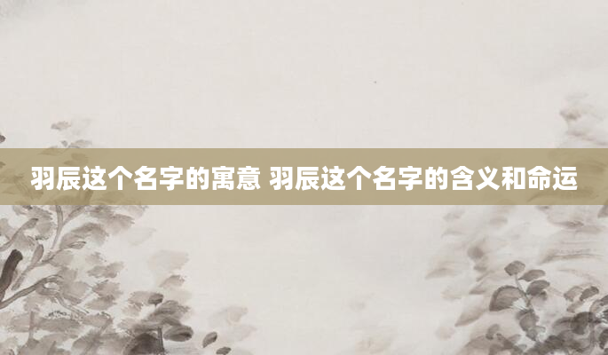 羽辰这个名字的寓意 羽辰这个名字的含义和命运