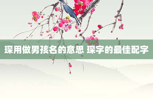 琛用做男孩名的意思 琛字的最佳配字