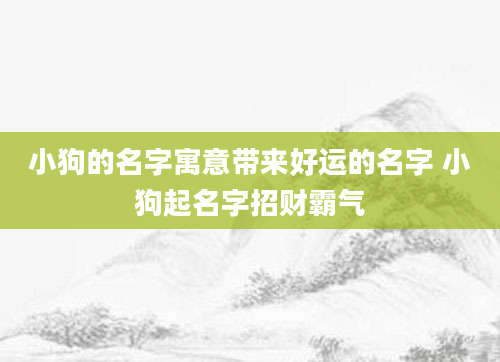 小狗的名字寓意带来好运的名字 小狗起名字招财霸气