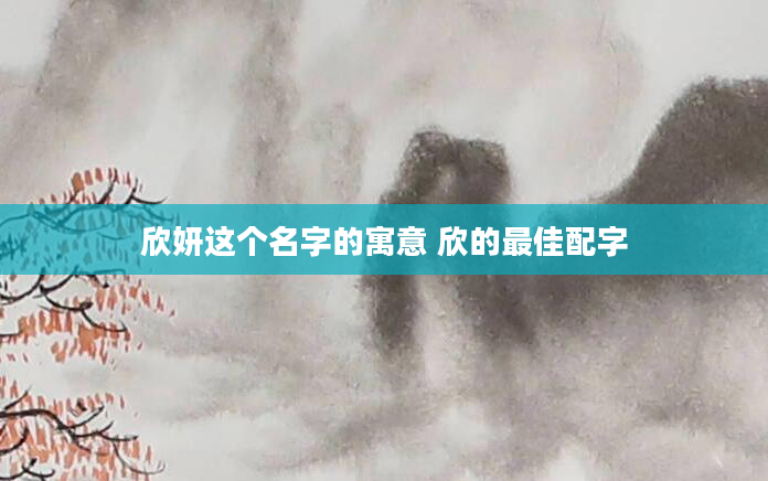 欣妍这个名字的寓意 欣的最佳配字
