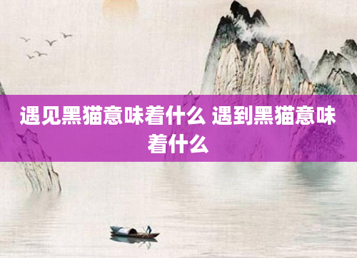遇见黑猫意味着什么 遇到黑猫意味着什么