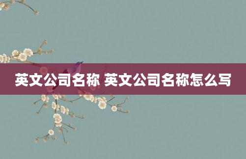 英文公司名称 英文公司名称怎么写