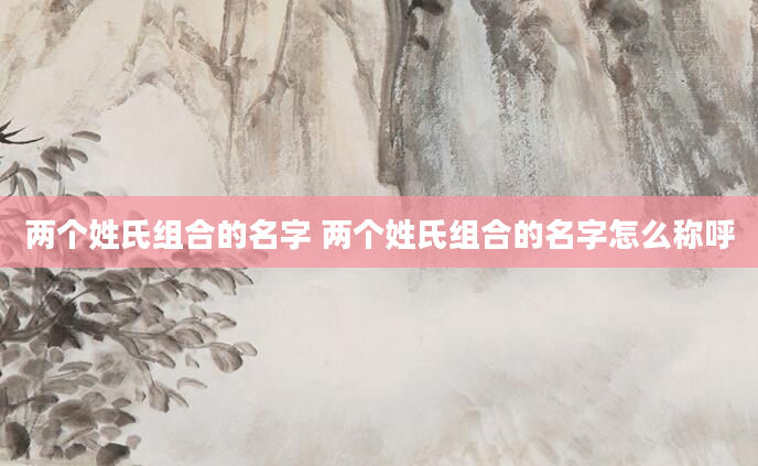 两个姓氏组合的名字 两个姓氏组合的名字怎么称呼