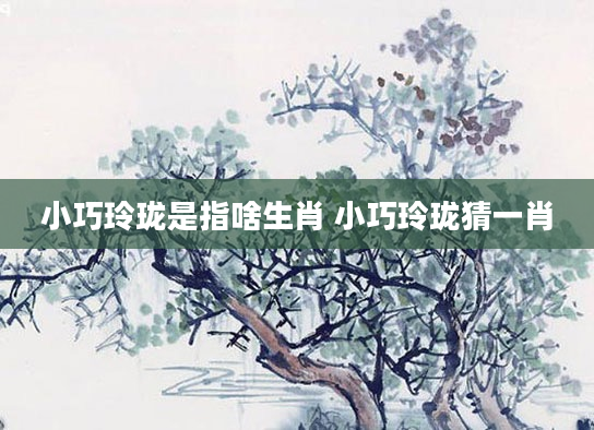 小巧玲珑是指啥生肖 小巧玲珑猜一肖