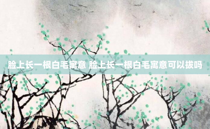 脸上长一根白毛寓意 脸上长一根白毛寓意可以拔吗
