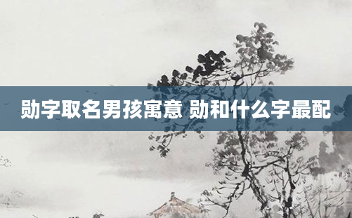 勋字取名男孩寓意 勋和什么字最配