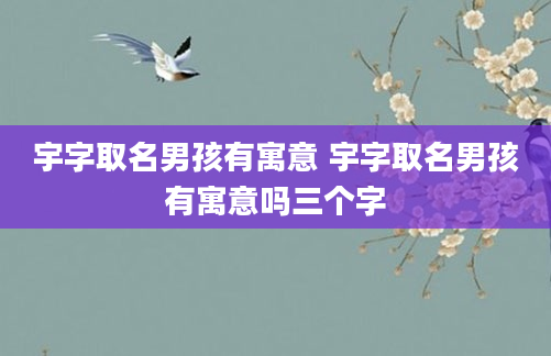 宇字取名男孩有寓意 宇字取名男孩有寓意吗三个字