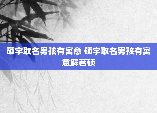 硕字取名男孩有寓意 硕字取名男孩有寓意解茗硕
