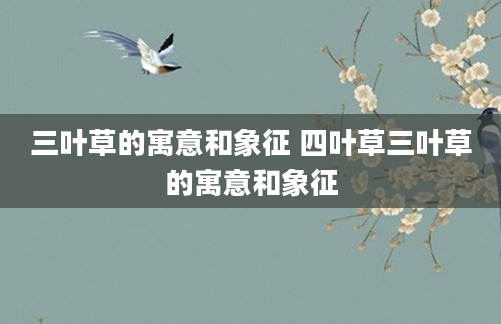 三叶草的寓意和象征 四叶草三叶草的寓意和象征