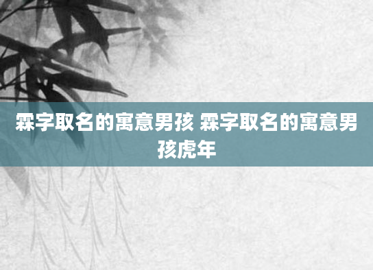 霖字取名的寓意男孩 霖字取名的寓意男孩虎年