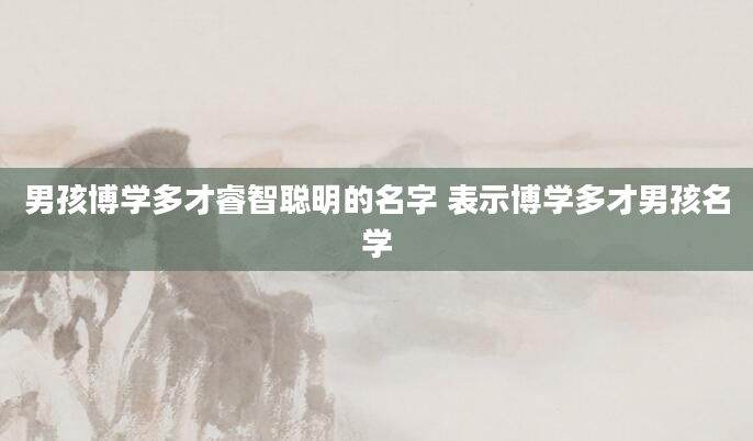 男孩博学多才睿智聪明的名字 表示博学多才男孩名学