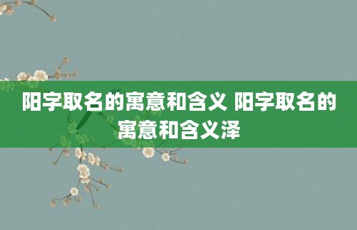 阳字取名的寓意和含义 阳字取名的寓意和含义泽