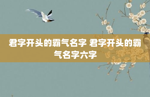 君字开头的霸气名字 君字开头的霸气名字六字