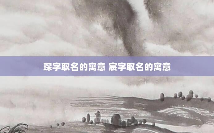 琛字取名的寓意 宸字取名的寓意