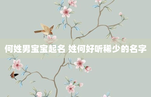 何姓男宝宝起名 姓何好听稀少的名字