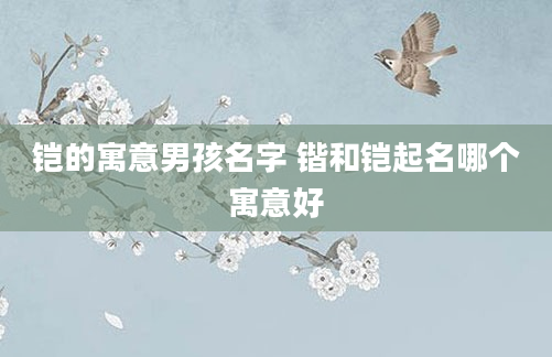 铠的寓意男孩名字 锴和铠起名哪个寓意好