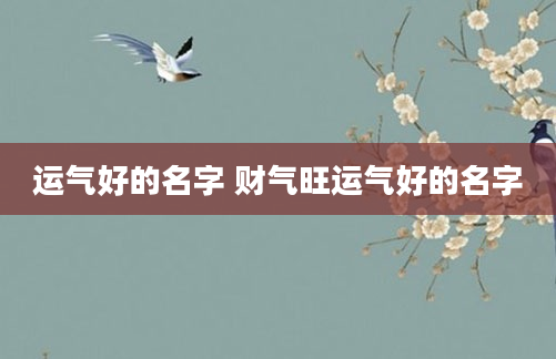 运气好的名字 财气旺运气好的名字