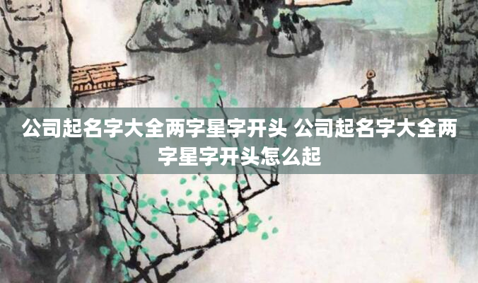 公司起名字大全两字星字开头 公司起名字大全两字星字开头怎么起