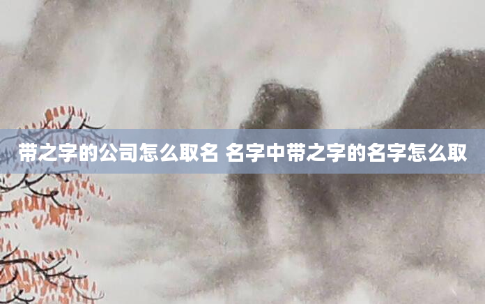 带之字的公司怎么取名 名字中带之字的名字怎么取