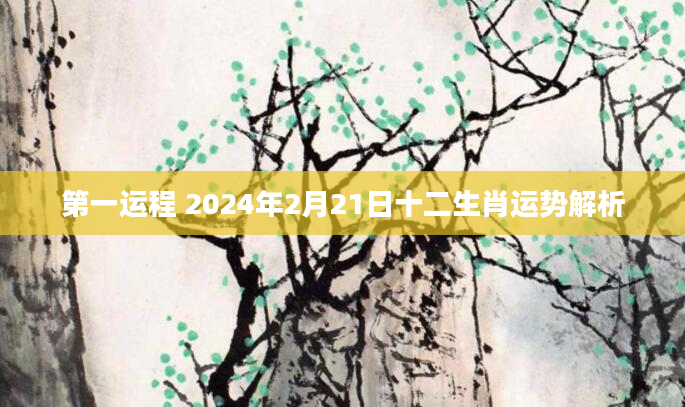 第一运程 2024年2月21日十二生肖运势解析