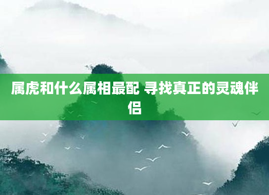 属虎和什么属相最配 寻找真正的灵魂伴侣