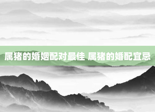 属猪的婚姻配对最佳 属猪的婚配宜忌