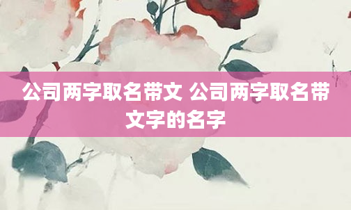 公司两字取名带文 公司两字取名带文字的名字