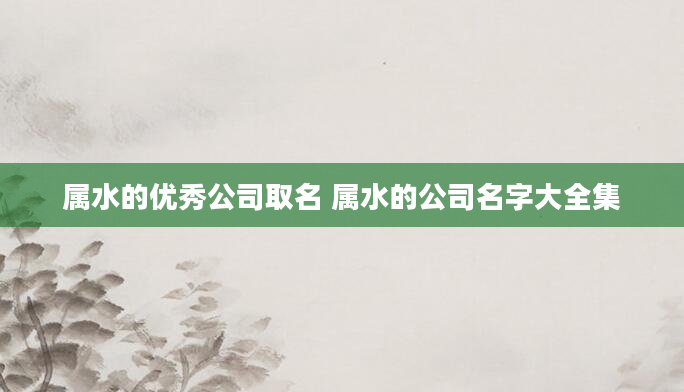 属水的优秀公司取名 属水的公司名字大全集