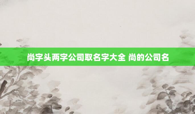 尚字头两字公司取名字大全 尚的公司名
