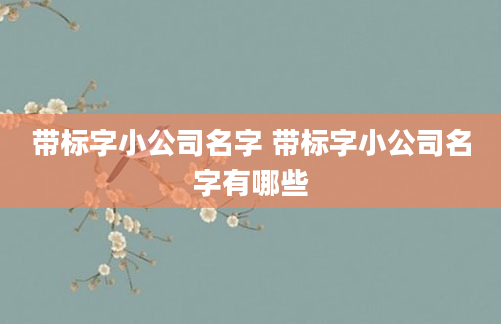 带标字小公司名字 带标字小公司名字有哪些