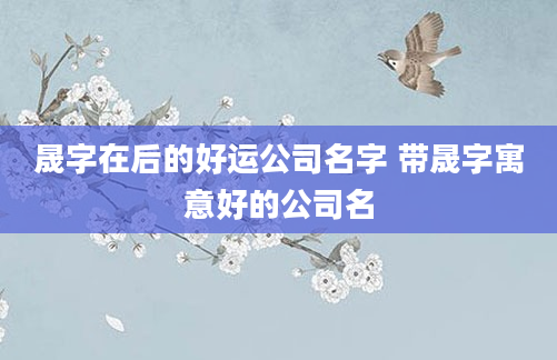 晟字在后的好运公司名字 带晟字寓意好的公司名