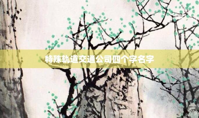 特殊轨道交通公司四个字名字