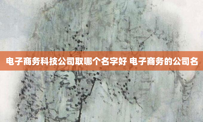 电子商务科技公司取哪个名字好 电子商务的公司名