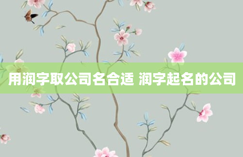 用润字取公司名合适 润字起名的公司