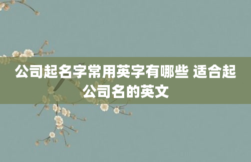 公司起名字常用英字有哪些 适合起公司名的英文