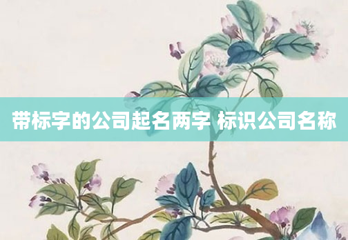 带标字的公司起名两字 标识公司名称