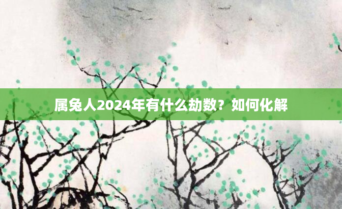 属兔人2024年有什么劫数？如何化解