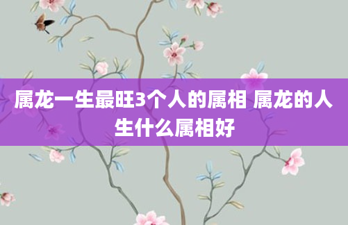 属龙一生最旺3个人的属相 属龙的人生什么属相好
