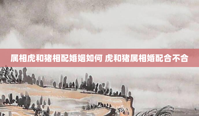 属相虎和猪相配婚姻如何 虎和猪属相婚配合不合