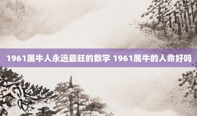 1961属牛人永远最旺的数字 1961属牛的人命好吗