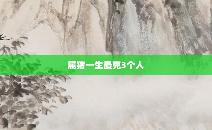 属猪一生最克3个人