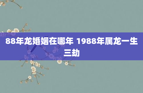 88年龙婚姻在哪年 1988年属龙一生三劫