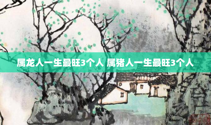 属龙人一生最旺3个人 属猪人一生最旺3个人