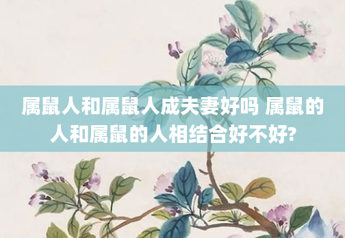 属鼠人和属鼠人成夫妻好吗 属鼠的人和属鼠的人相结合好不好?