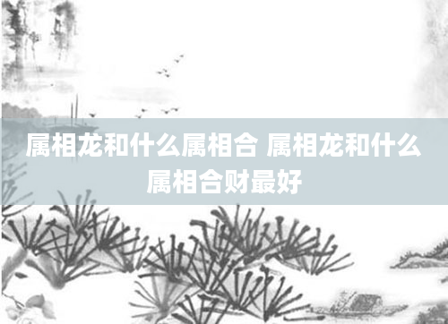 属相龙和什么属相合 属相龙和什么属相合财最好
