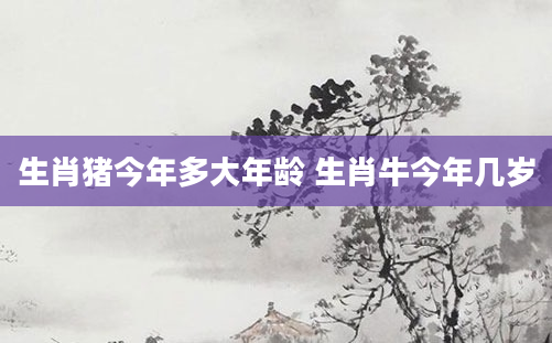 生肖猪今年多大年龄 生肖牛今年几岁